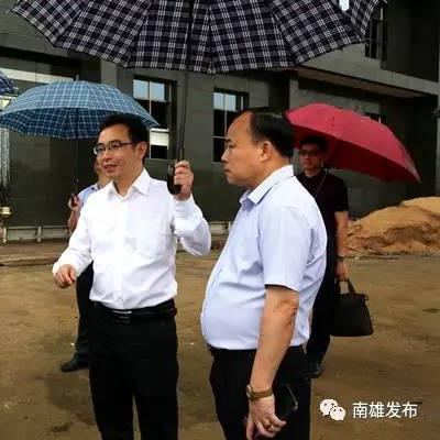康绿宝最新动态报道