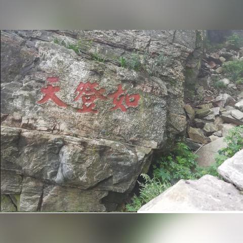 在线阅读