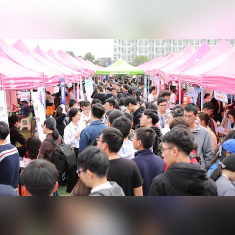 嵊州人才市场最新招聘解析报告