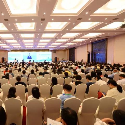 数据揭示的伦理之美，最新探索与欣赏