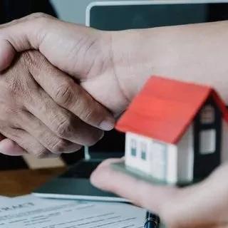 最新政府信息公开条例深度解读