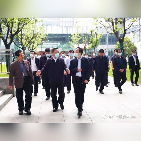 龙口人才网招聘动态深度解析