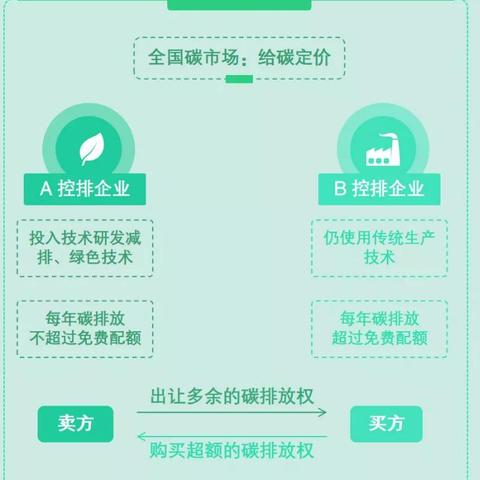 碳排放价格行情分析，最新价格动态解读