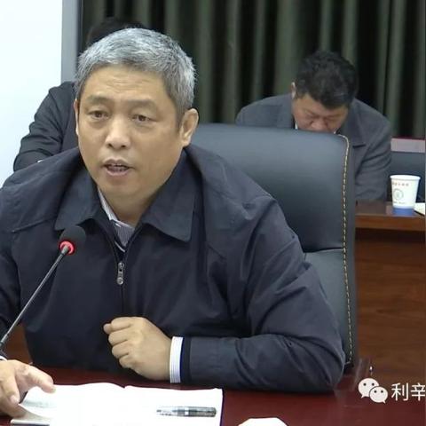 利辛县最新规划全景图深度解析