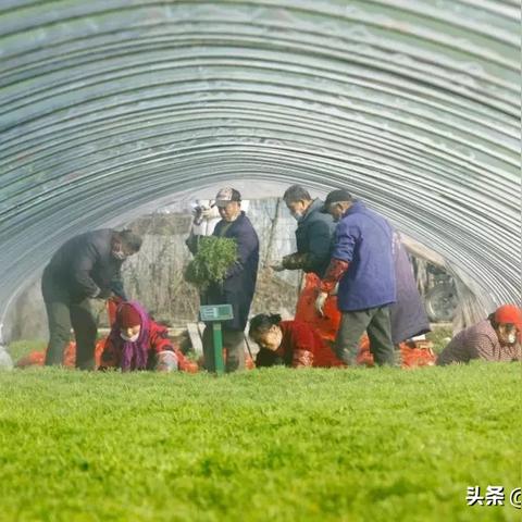 南京溧水招工信息大解析，最新岗位一览
