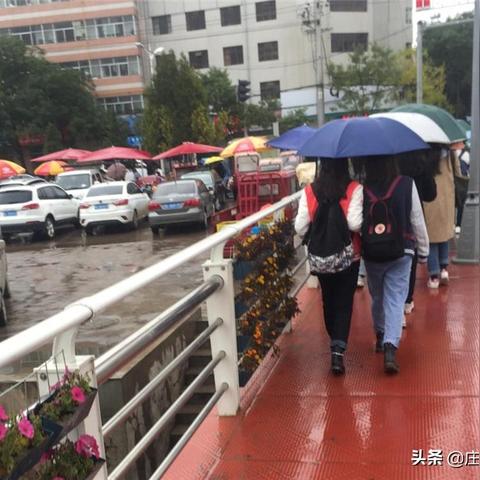 庄浪县新闻速递，最新报道汇总