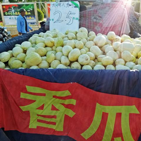 东北大棚先进取暖技术揭秘