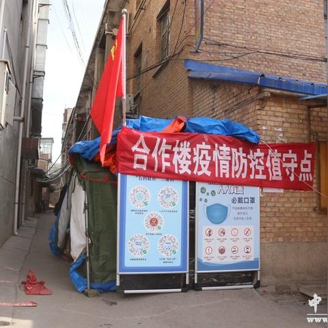 甘肃秦安最新动态报道