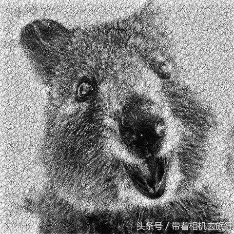 科技与艺术融合