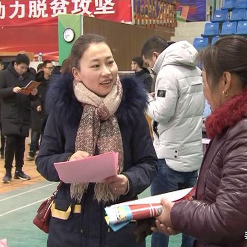 金湖县招工信息大解析，最新岗位一网打尽