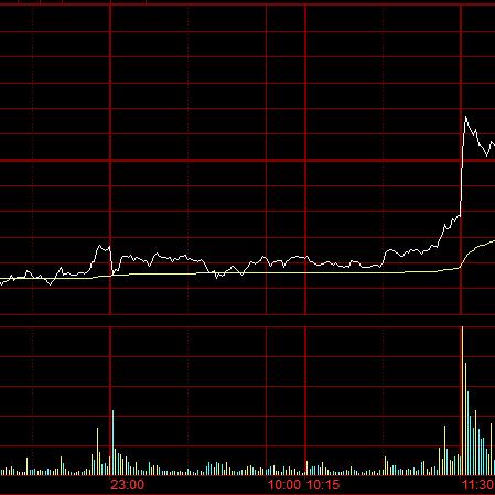 郑棉最新动态深度剖析