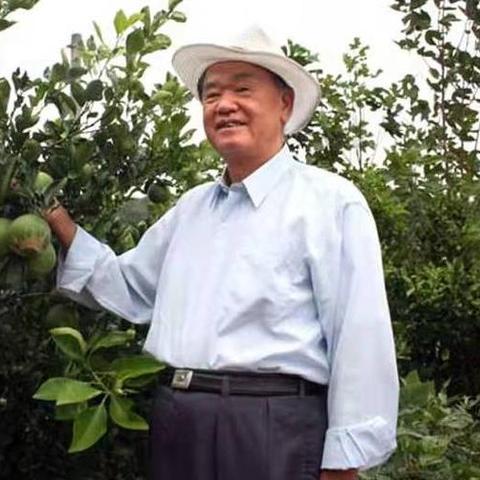 湖南退休养老金上调最新情况解析