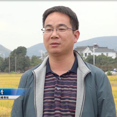 吴中浦庄招聘，职业发展与前景展望