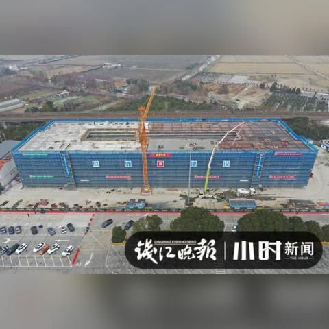 浙江嘉兴最新动态全面解读