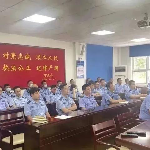 交警执法规范最新详解