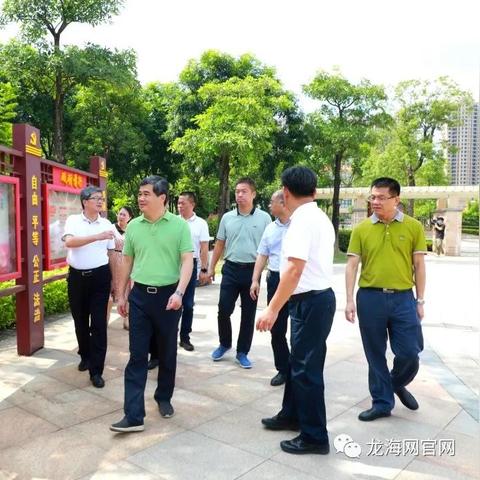 龙海一路最新进展报告概览