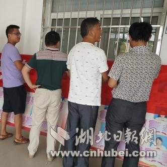 红安一中搬迁最新动态更新