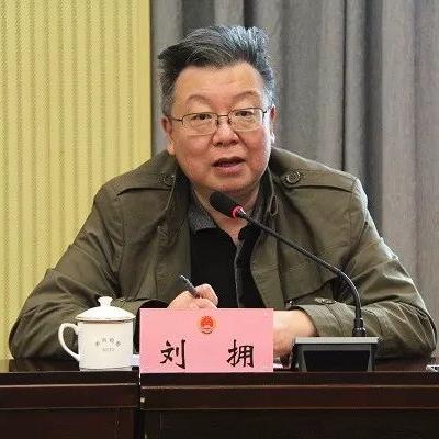 诉讼助手最新进展，数据驱动的洞察及其影响分析