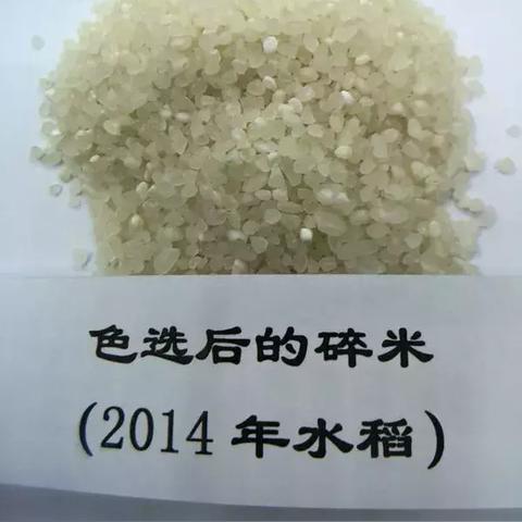 最新色选机技术引领物料分拣智能化革新