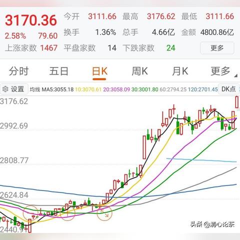 公司变更 第53页