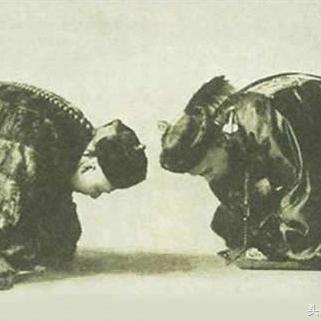 最新战况概览