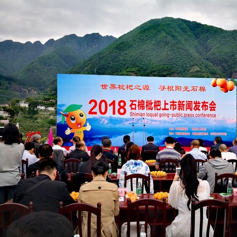 石棉县最新新闻报道速递