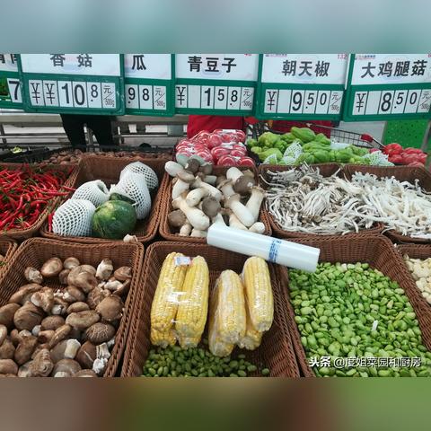 青豆价格行情最新分析