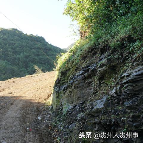 遵义绿塘水库建设最新进展报告速递