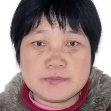 临泉县各镇行政村最新概览