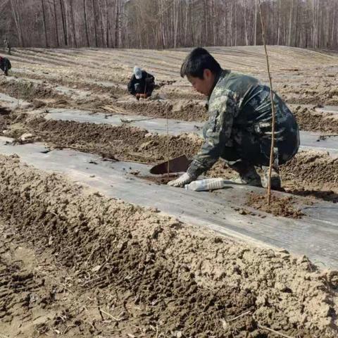 吉林省林场改革动态更新