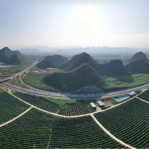 崇水高速公路最新进展消息