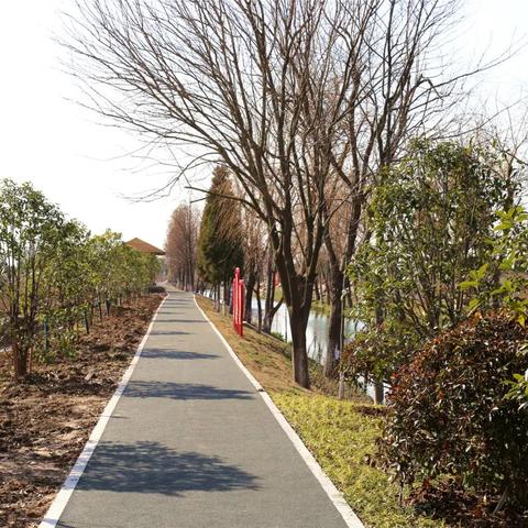 税务申报 第23页