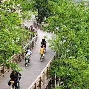 进展更新 第2页