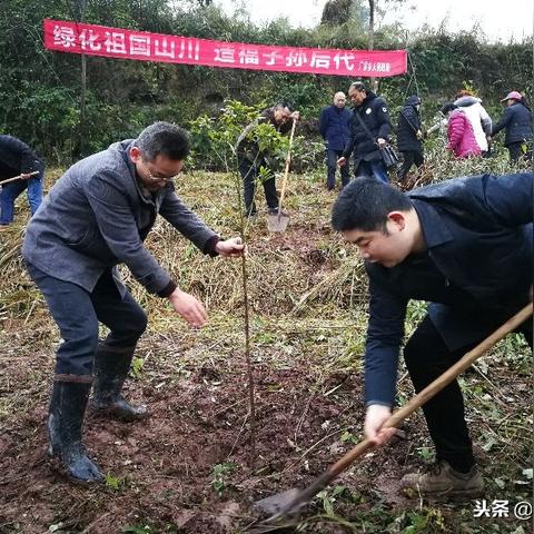 广安区广罗乡最新发展概览