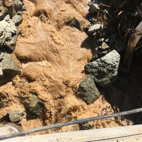 章丘市白泉村最新动态报道