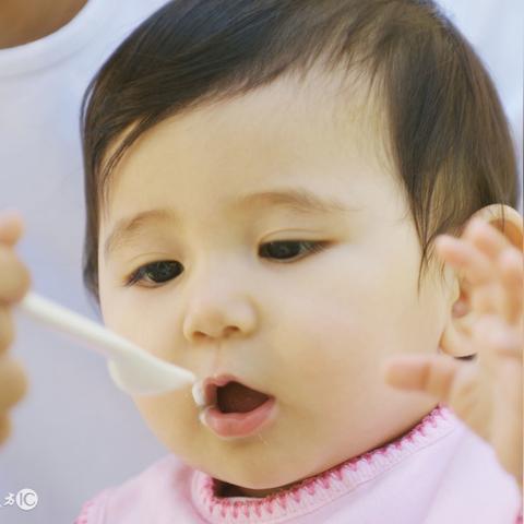 萌宝辅食APP最新版下载使用详解