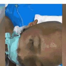 陕西六岁鹏鹏最新深度报道，最新消息汇总