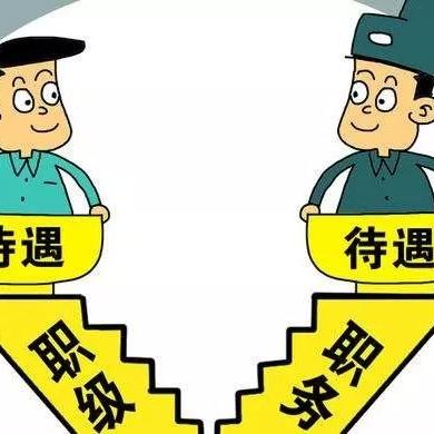 山东公务员职级并行更新动态